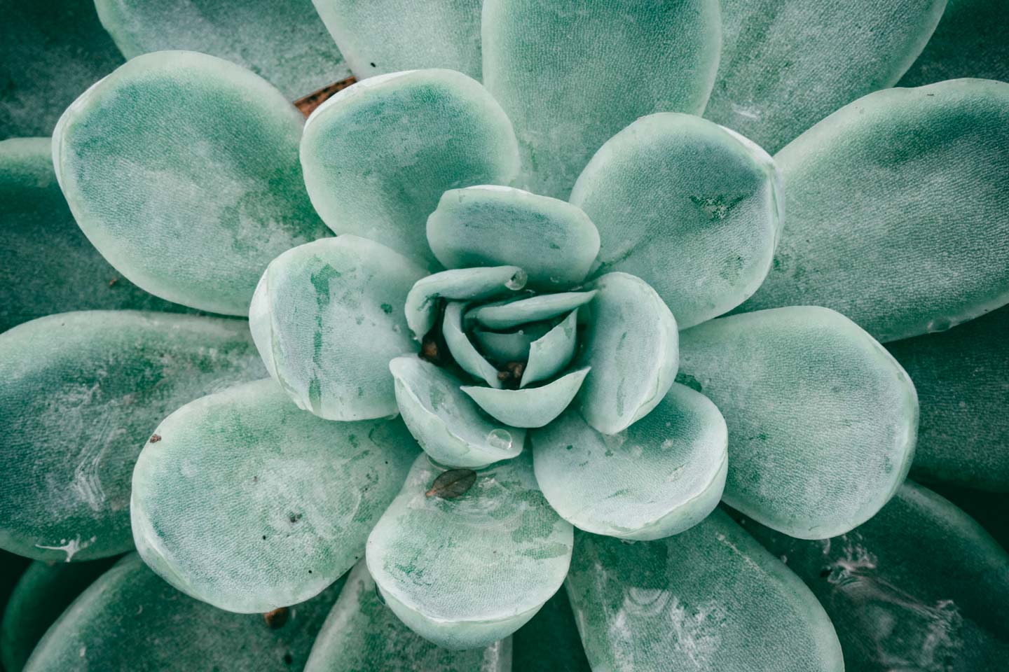 Stunning Nature Timelapse