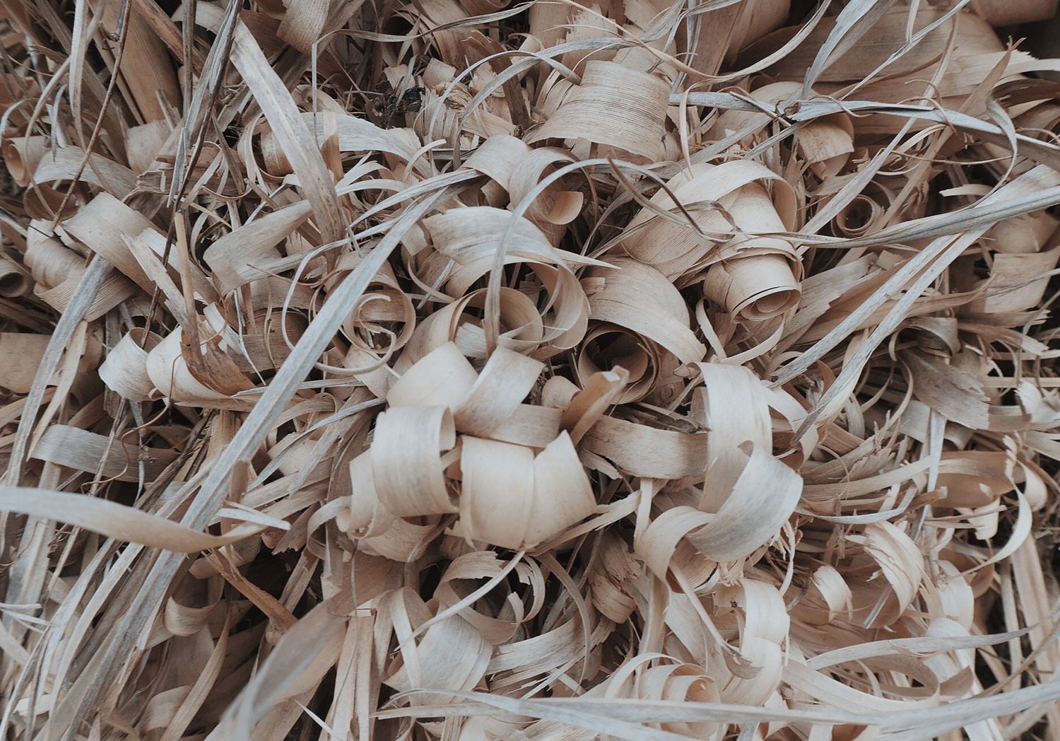 Structures of Nature are a Beautiful Thing